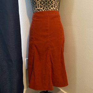 Dress Barn Pleated Skirt